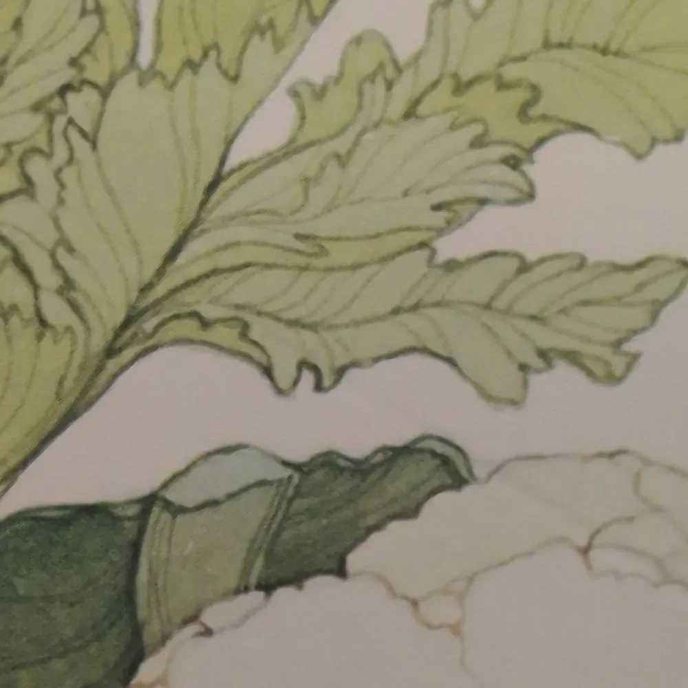 Vintage MCM Vegetable‎ Lk Powell Art Paper Stationary Lot Fold A Note